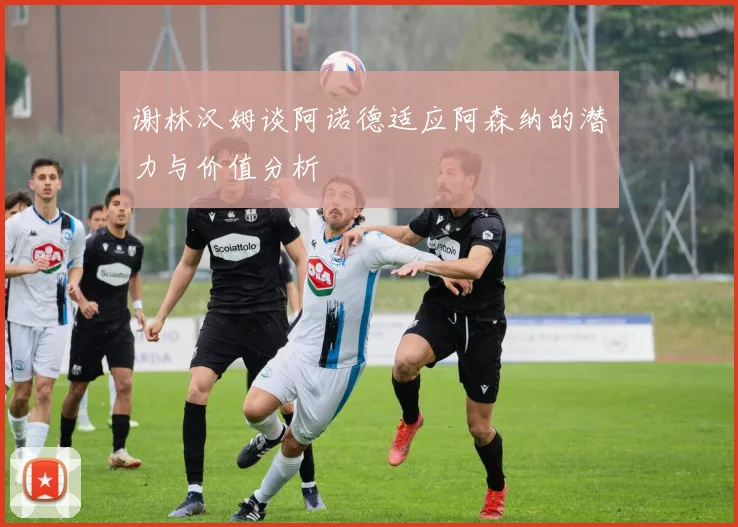 谢林汉姆谈阿诺德适应阿森纳的潜力与价值分析